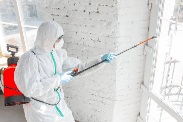 Best Biohazard Mold Removal  in USA